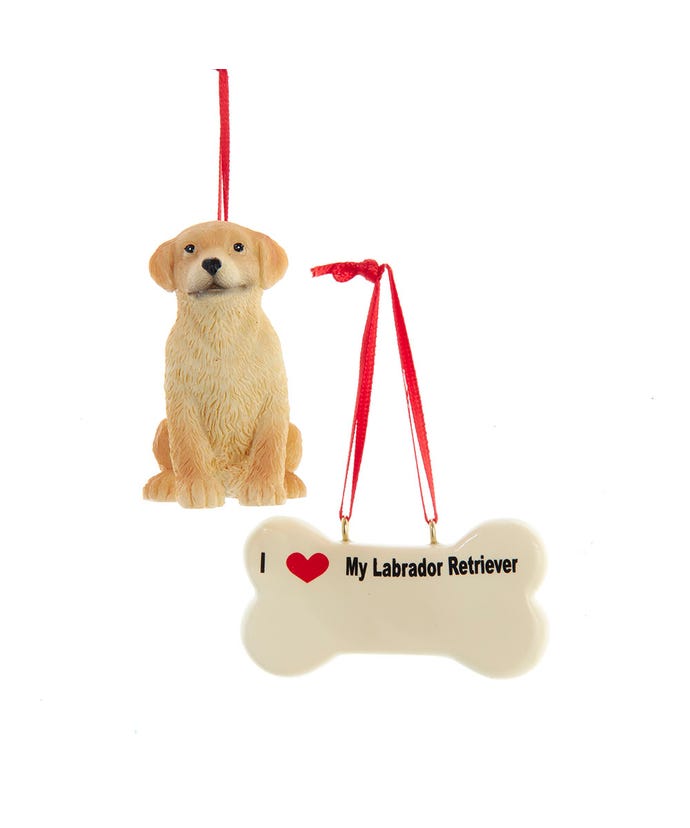 I love My Yellow Labrador Retriever W…